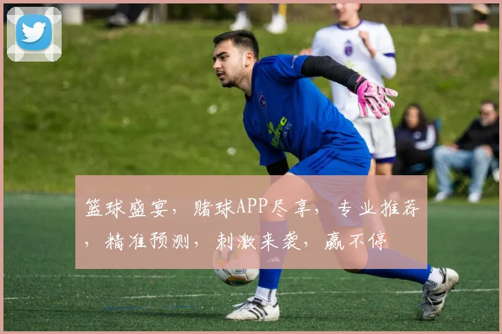 篮球盛宴，赌球APP尽享，专业推荐，精准预测，刺激来袭，赢不停