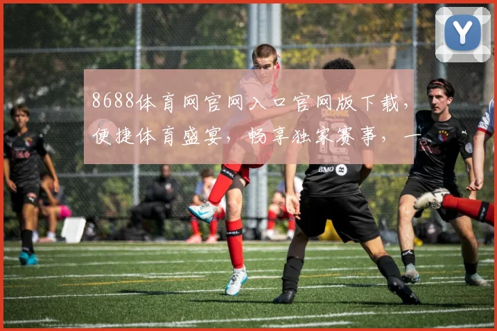 8688体育网官网入口官网版下载，便捷体育盛宴，畅享独家赛事，一网打尽