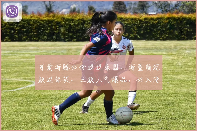 可爱海豚公仔逗逗乐园，海量萌宠款逗你笑，三款人气爆品，必入清单，逗趣来袭